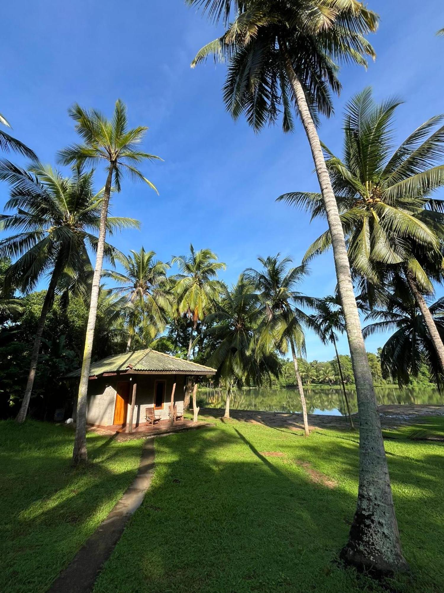 Yonan River Face Safari Resort Udawalawe Exterior photo